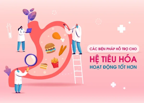 Vì sao phải chăm sóc đường ruột? Vai trò then chốt cho sức khỏe toàn diện